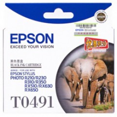 爱普生（Epson）T0491 黑色墨盒 C13T049180
